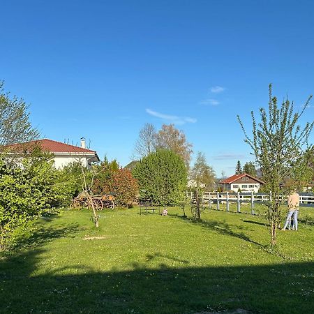Black Horse Family Apartment - Barrierearm - Pfotenglueck - Familienzeit By Loewenherz Homes Stephanskirchen Exteriör bild